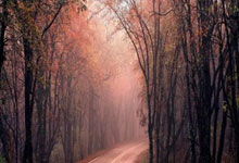 斯特拉斯堡球员备战迎接下一轮比赛