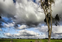 重庆斯威士气高昂迎战广州富力，争夺胜利