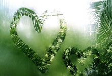 日本篮球明星在比赛中斩获大捷