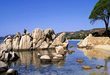 江苏苏宁迎来出色连胜，冲击联赛前列